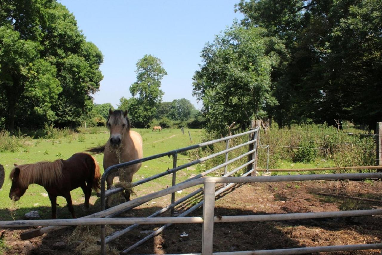 La Ferme De La Croix Villa Saint-Quentin-Lamotte-Croix-au-Bailly Buitenkant foto